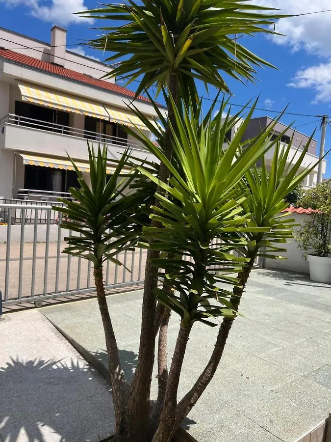 Apartments Lili Flora Zadar 0*,  Kroatië